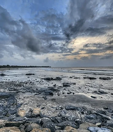Mandwa Beach near mangosteen