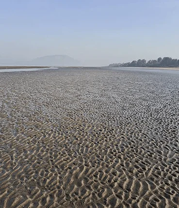 Rewas beach near mangosteen