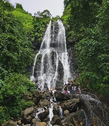 amboli waterfall mangosteen homestay