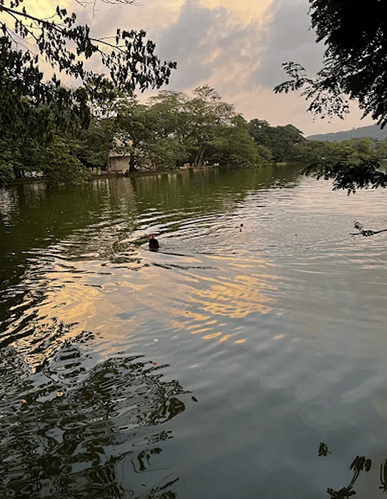 Dhokawade Lake, Alibaug