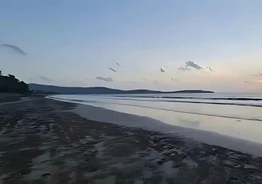 Saraal beach near mangosteen homestays in alibaug