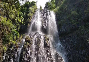 amboli falls near mangosteen homestays in sindhudurg