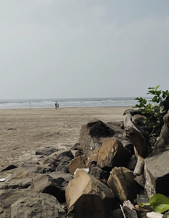 awaas beach mangosteen