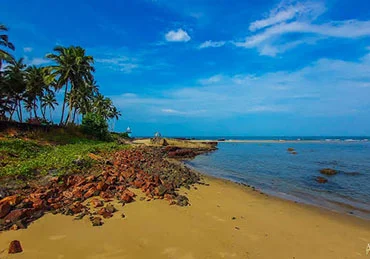 bhogve beach near mangosteen homestays in sindhudurg