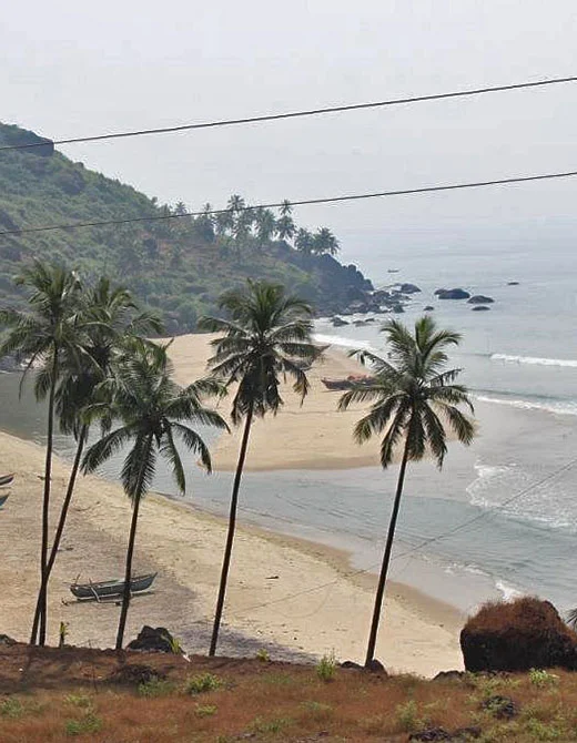 khavane beach mangosteen