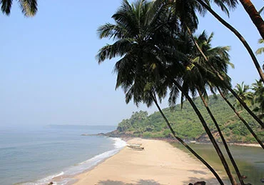 khavane beach near mangosteen homestays in sindhudurg