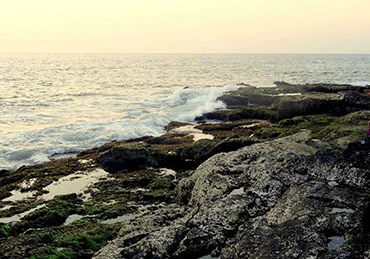 rock garden near mangosteen homestays in sindhudurg